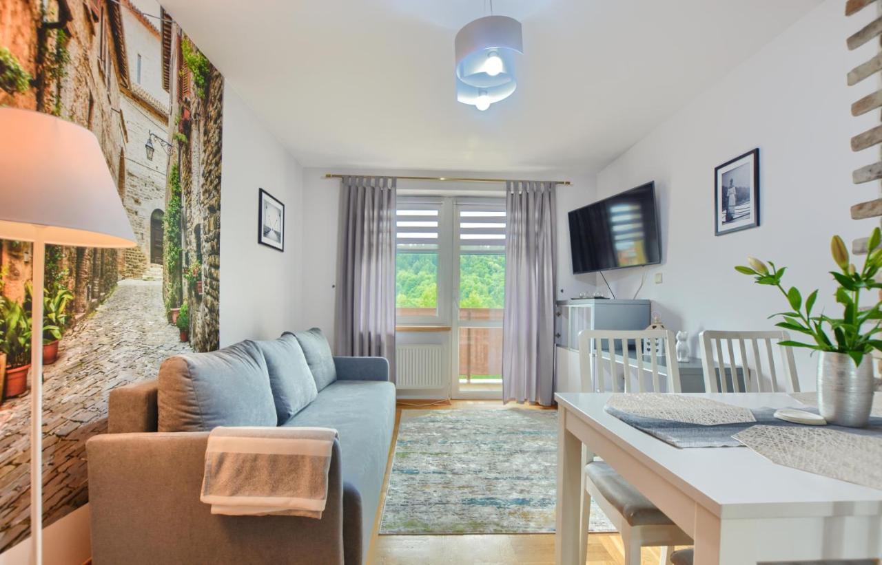 Apartamenty Bieszczadzki Aniol Ustrzyki Dolne Exterior foto